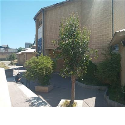 محوطه